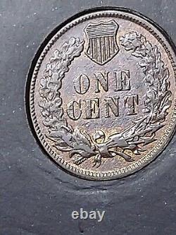 1876 Indian Head Cent RB STUNNING WITH EYE APPEAL J/65