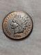 1876 Indian Head Cent Red Brown Au/choice