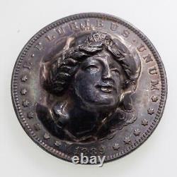 1889 Morgan Dollar Coin Liberty Head Pop Out Gorgeous Collectible