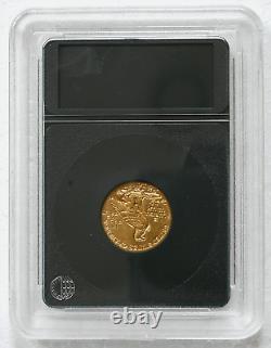 1915 Indian Head $2.50 Gold Quarter Eagle Coin AU Ships in Whitman Slab Holder
