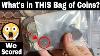 What S In This Bag Of Old Coins Large Cents Buffalo Nickels More