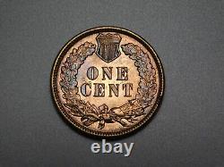 Anciennes pièces américaines 1892 Indian Head Cent Penny