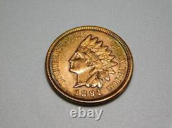 Anciennes pièces américaines : centime Indian Head de 1891